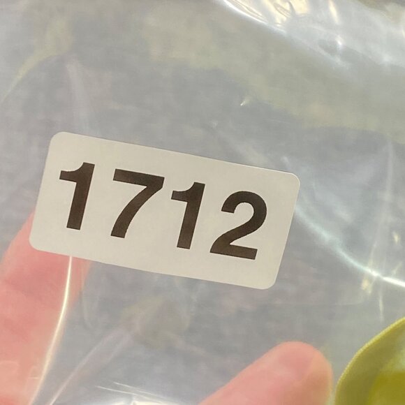 Moving Comfort Skort Women's  M (8-10) Yellow Green Athletic‎ Skirt Tennis Golf - Picture 8 of 8